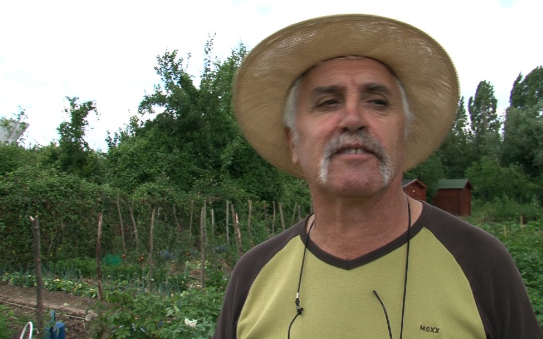 DANS LES JARDINS DE BABEL CITY