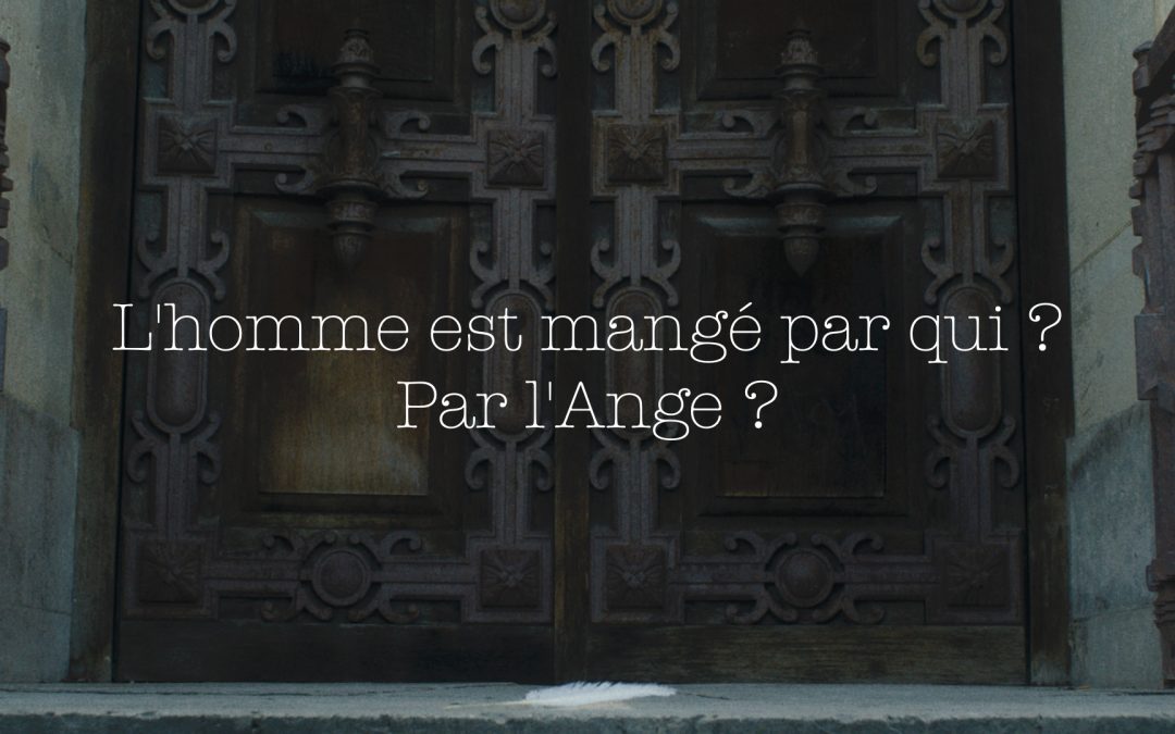 NE CRAINS PAS LE BRUIT DE MES AILES